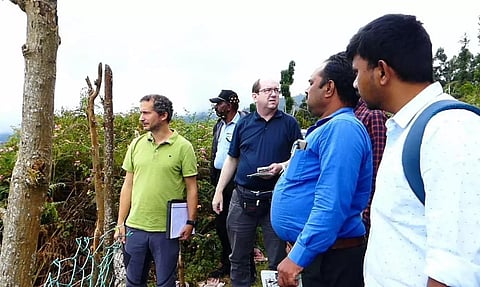 கொடைக்கானலில் வெளிநாட்டு என்ஜினீயர்கள், அதிகாரிகள் குழு ஆய்வு