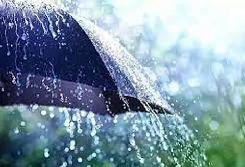 மழையால் குறுவை சாகுபடி பணிகள் பாதிப்பு