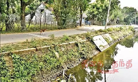 அன்னப்பன்பேட்டை தாமரை குளத்தின் கரையில் தடுப்புச்சுவர் அமைக்கப்படுமா?