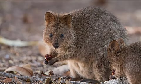 கோப்புப்படம்