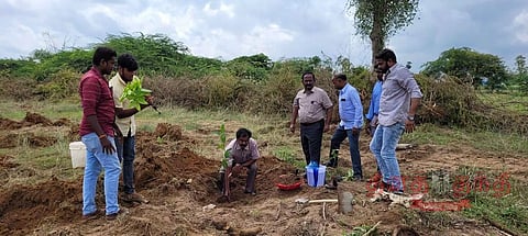 கல்லணைக்கால்வாய் கரையில் 2 ஆயிரம் மரக்கன்றுகள்