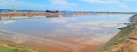 உப்பள பாத்திகள் நீரில் மூழ்கின