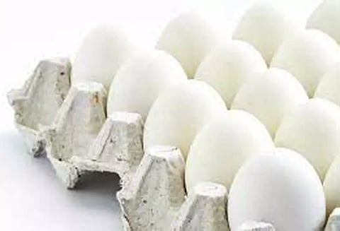 முட்டை விலை 5 காசுகள் உயர்ந்தது