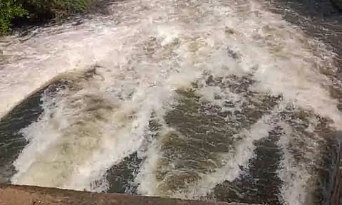 நொய்யல் ஆற்றில் கலக்கும் சாயக்கழிவுநீரால் விவசாயம் பாதிப்பு