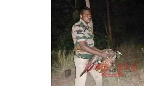 அஞ்சுகிராமம் அருகே கிணற்றில் தவறி விழுந்த மயில் மீட்பு