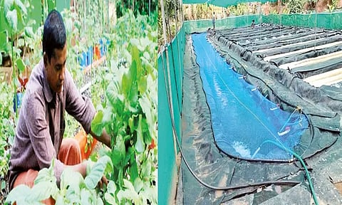 காய்கறியும்.. மீன் வளர்ப்பும்.. விவசாய ஆலோசகரின் புதுமை பண்ணை