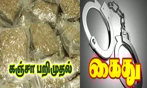 கூடுவாஞ்சேரியில் 2½ கிலோ கஞ்சாவுடன் தந்தை-மகன் கைது