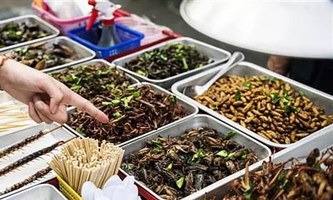 கோப்புப்படம்