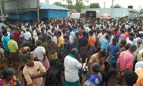 தீபாவளி பண்டிகை: மேலப்பாளையம் சந்தையில் ஒரே நாளில் ரூ.2 கோடிக்கு ஆடுகள் விற்பனை