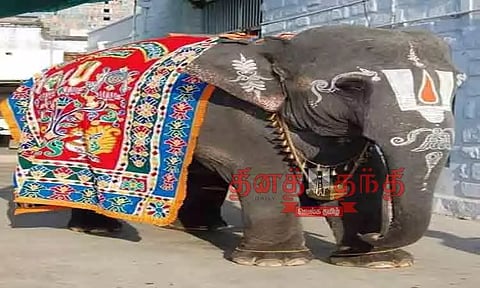 பிறந்தநாள் கொண்டாடிய ஆண்டாள் கோவில் யானை