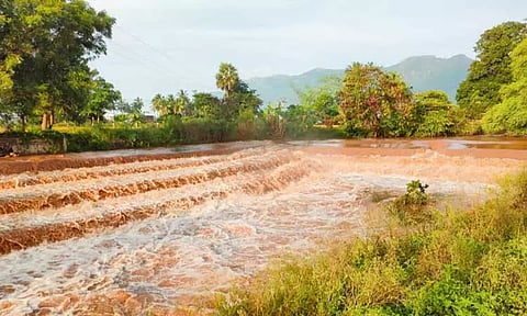 விவசாய நிலங்கள், நெற்பயிர்கள் தண்ணீரில் மூழ்கியது