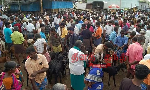 ஒரே நாளில் ரூ.2 கோடிக்கு ஆடுகள் விற்பனை