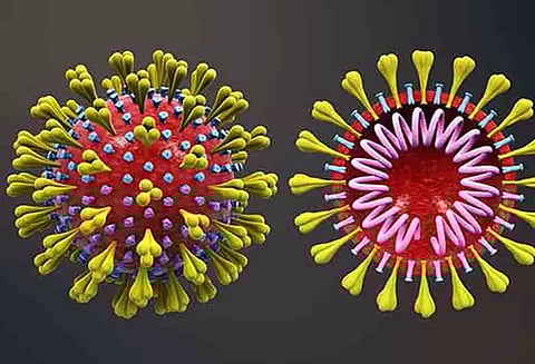 முக கவசம் அணிந்தால்... வசமாகும் உயிர் பாதுகாப்பு