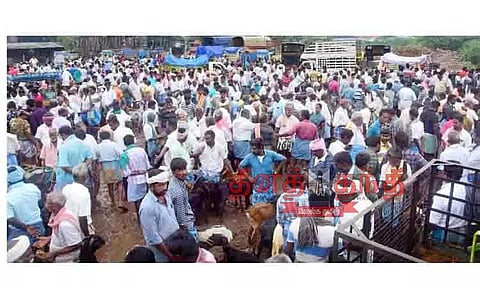 புதுக்கோட்டையில் ஆட்டுச்சந்தை களை கட்டியது