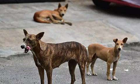 கோப்புப்படம்