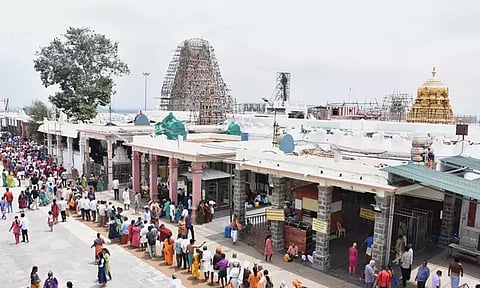 தீபாவளியில் பழனி ஆண்டவரை பார்க்க அலைமோதும் மக்கள் கூட்டம்