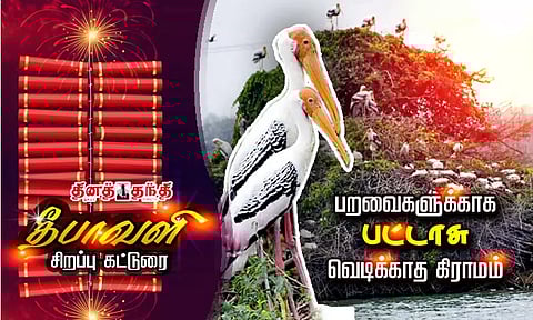 பறவைகளுக்காக பட்டாசு வெடிக்காத கிராமம்