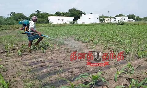 நோய் தாக்குதலை கட்டுப்படுத்த மருந்து தெளிக்கும் பணி தீவிரம்