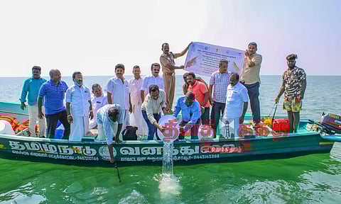 பச்சை ரக இறால் குஞ்சுகளை கடலில் விடும் நிகழ்ச்சி