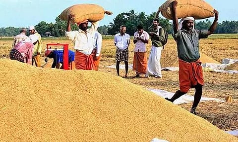 நெல் கொள்முதல் ஈரப்பத அளவை 19 சதவீதமாக உயர்த்த மத்திய அரசு ஒப்புதல்...?