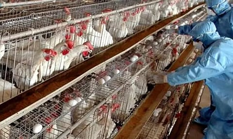 கோப்புப்படம்