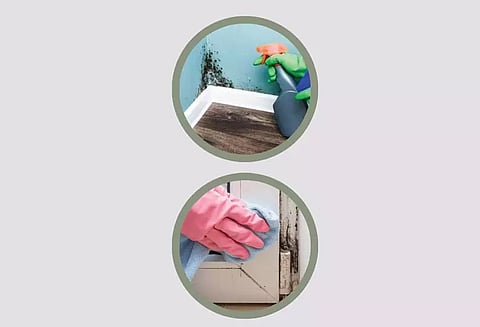 மழைக்காலத்தில் பூஞ்சை வளர்வதை தடுக்கும் வழிகள்