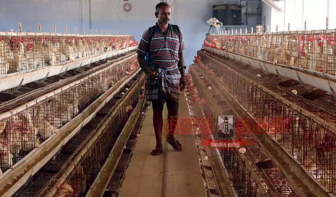 கேரளாவில் பறவை காய்ச்சல் எதிரொலி: நாமக்கல் கோழிப்பண்ணைகளில் கிருமிநாசினி தெளிக்கும் பணி தீவிரம் 45 கண்காணிப்பு குழுக்கள் அமைப்பு