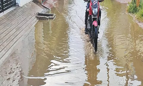 காஞ்சீபுரம், செங்கல்பட்டில் இடியுடன் பலத்த மழை