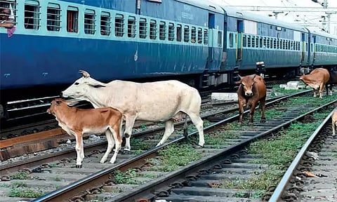 கோப்புப்படம்