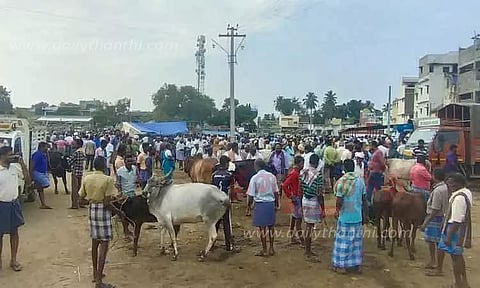 அந்தியூர் கால்நடை சந்தையில் கொங்கு காளை மாடு ஜோடி ரூ.1¾ லட்சத்துக்கு விற்பனை