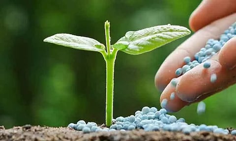 சான்றுகள் இல்லாமல் விதைகளை விற்பனை செய்தால் சட்டப்படி நடவடிக்கை