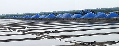 கனமழையால் உப்பு உற்பத்தி பாதிப்பு