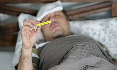 பன்றிக்காய்ச்சல் பீதியில் தட்சிண கன்னடா மாவட்ட மக்கள்