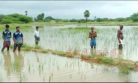 கண்மாய் கரை உடைந்து வயலுக்குள் தண்ணீர் புகுந்தது
