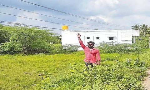 காட்டாங்கொளத்தூரில் தாழ்வான நிலையில் செல்லும் மின்சார கம்பி; சீர் செய்ய பொதுமக்கள் கோரிக்கை