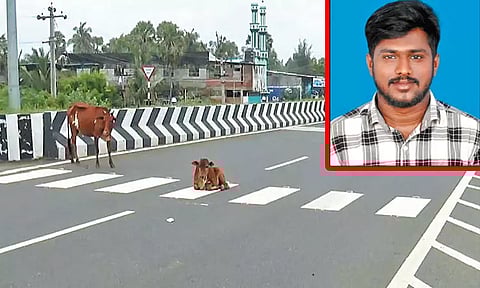 கிழக்கு கடற்கரை சாலையில் மாடு மீது மோட்டார் சைக்கிள் மோதிய விபத்தில் என்ஜினீயரிங் மாணவர் சாவு