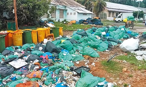 செங்கல்பட்டு அரசு ஆஸ்பத்திரி வளாகத்தில் கொட்டப்படும் மருத்துவ கழிவுகள் - நோய் தொற்று ஏற்படும் அபாயம்