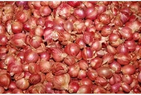 சின்ன வெங்காயத்தின் விலை உயர்வு
