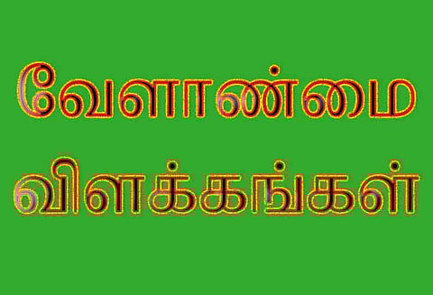 மழை நீரில் மூழ்கிய சம்பா-தாளடி நெற்பயிர்களை காப்பது எப்படி?