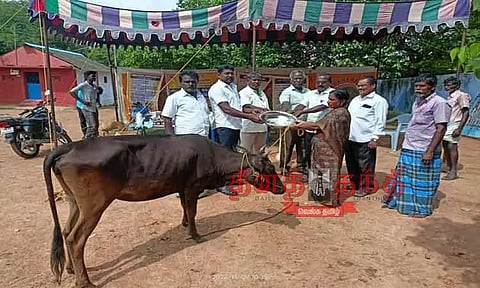 கால்நடை மருத்துவ முகாம்