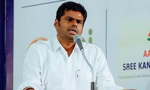 பட்டாசு தொழிலாளர்களின் பாதுகாப்பை குழு அமைத்து உறுதி செய்ய வேண்டும் - அண்ணாமலை கோரிக்கை