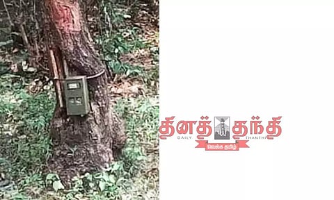 ஸ்ரீவில்லிபுத்தூர் மேகமலை புலிகள் காப்பகத்தில் 80 இடங்களில் அதிநவீன கேமரா பொருத்தம்