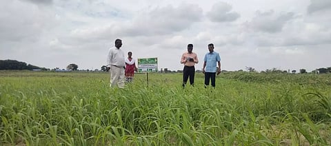 வேளாண்மை திட்ட பணிகள் ஆய்வு