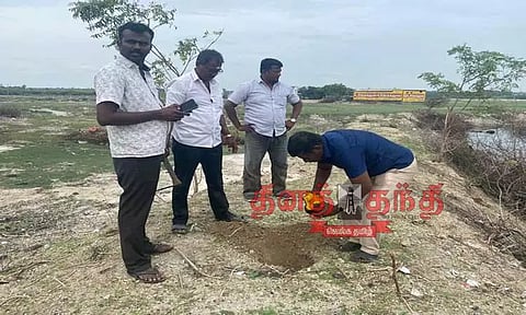 பனை விதைகள் விதைப்பு