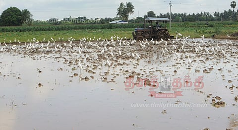 விவசாய பணிகள் மும்முரம்