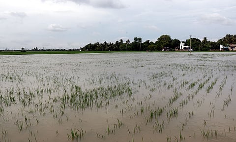 அதிகபட்சமாக திண்டிவனத்தில் 10 செ.மீ. பதிவு