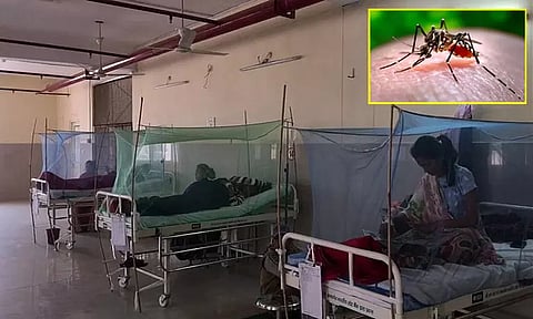 உ.பி.: டெங்கு காய்ச்சல் பாதிப்பு பரவலாக அதிகரிப்பு