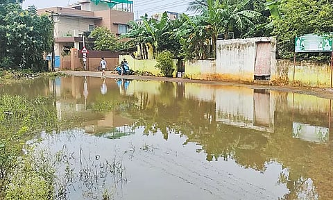 சிங்கப்பெருமாள் கோவில் அருகே குடியிருப்புகளில் சூழ்ந்துள்ள தண்ணீரை அகற்ற வேண்டும் - பொதுமக்கள் கோரிக்கை