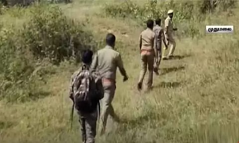 முதுமலையில் வனவிலங்குகள் கணக்கெடுக்கும் பணி இன்று தொடக்கம்