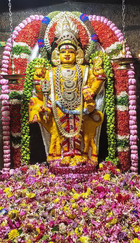 தேய்பிறை அஷ்டமியையொட்டி கால பைரவருக்கு பைரவாஷ்டமி விழா